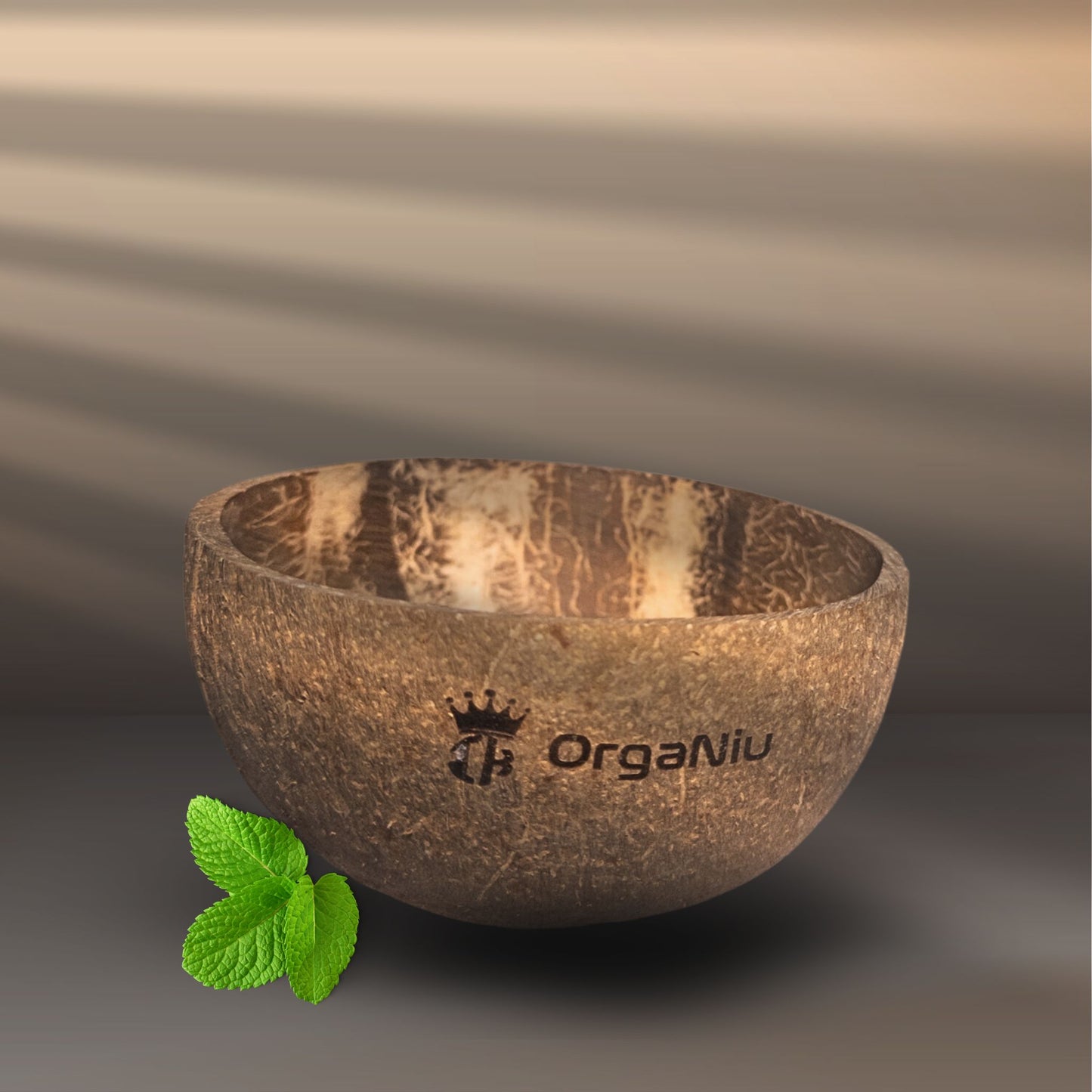 IK Organiu Coconut Bowl